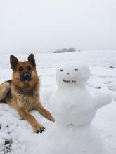 Klara's snowman with a dog